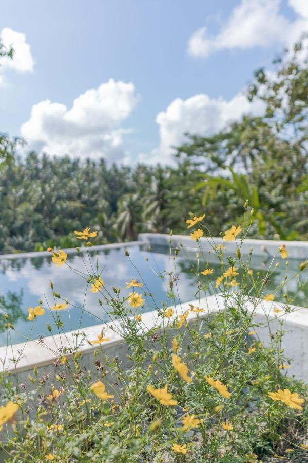 Galalima Glamping By Agata Hotel Meliling Екстериор снимка