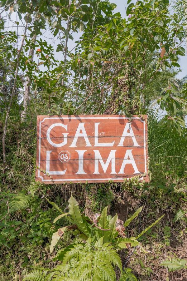 Galalima Glamping By Agata Hotel Meliling Екстериор снимка